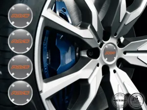 Rays Silikonsticker Ausgabe Premium Felgendekoration